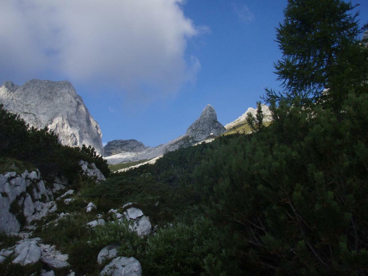 Apartmaji Stari Kovac Bovec Zewnętrze zdjęcie